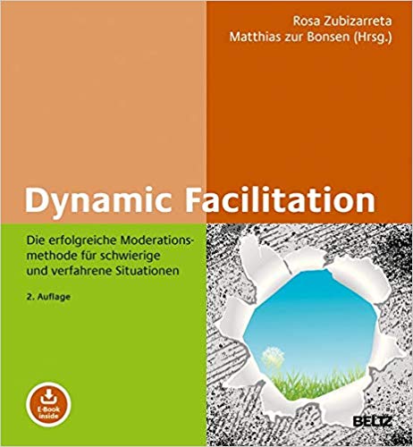 Dynamic Facilitation Buch